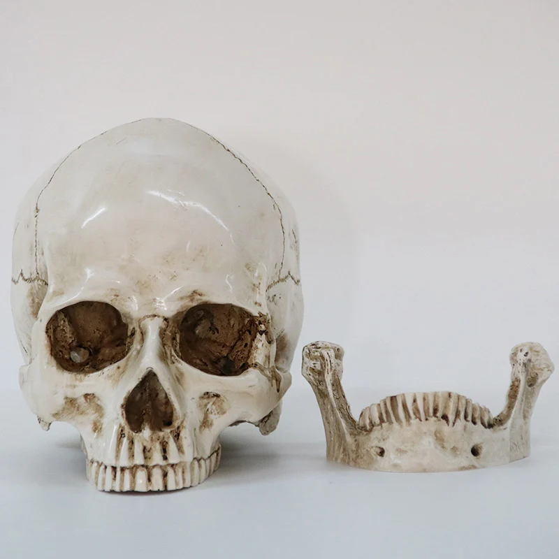 16cm Skull Statue Resin Crafts White Skull Head Props Bar Counter Home - £25.68 GBP+