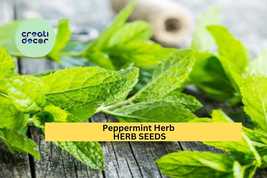 Peppermint Herb Seeds – 30mg for Planting, Strong Mint Aroma, Perennial ... - $5.85+