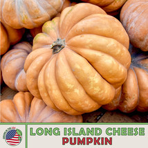 AD 10 Long Island Cheese Pumpkin Squash Seeds Heirloom Non Gmo Home Garden - $13.26