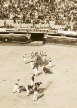 Mexico Bull Fight Photo Dragging Bull From Ring - £14.21 GBP