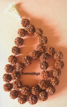 5 FIVE MUKHI RUDRAKSHA MALA SURYA AGNI SIDDHA MALA 54+1 COLLECTOR JAPA B... - £18.34 GBP