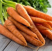 Tendersweet Carrot Seeds - 25 Count Seed Pack - Non-GMO - Rich-Orange Colored Ro - £1.88 GBP