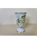 1981 Franklin De Paris Oiseaux Chanteurs De L&#39;Europe Porcelain Vase Yell... - £11.62 GBP