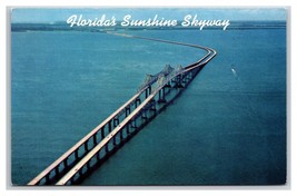 Sunshine Skyway Bridge Bridge St Petersburg Florida FL UNP Chrome Postcard U29 - $2.92