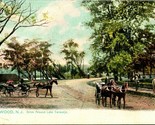 Tuck &amp; Sons Postcard UDB Lakewood NJ Drive Around Lake Carasaljo Unused ... - $10.84