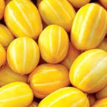 USA Seller Early Silver Line Melon Seeds Fast Shipping - £14.52 GBP