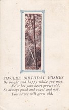 Sincere Birthday Wishes Poem 1927 Defiance MO Marthasville Postcard C49 - £2.38 GBP