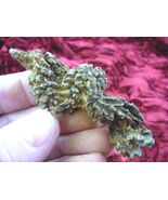 (PP280-534) 2-1/2" Genuine Fossil TURTLE POOP Coprolite Madagascar doo D... - $18.99