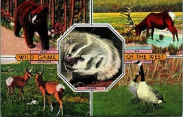 Wild Game of the West Bear Badger Elk Geese Multiview Linen Postcard UNP Unused - £3.12 GBP