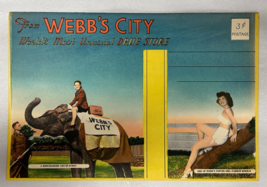 Vintage Large Fold Out Post Card Webb&#39;s City Drug Store St. Petersburg Florida - £7.43 GBP