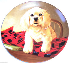 Cocker Spaniel Collector Plate 1988 Shirt Tails United Kennel Club COA  - $49.95