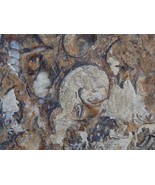 Large Unique &amp; One-Of-A-Kind Ancient Fossilized Turritella Specimen - $473.02 MXN