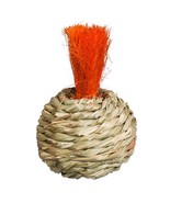 Prevue Pet Products Grassy Nibblers Squash - 1080 - $33.81 CAD