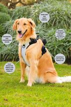 Big Old Pup 5-in-1 Reflective Dog Harness w/ Leash &amp; Bag Pouch – Sizes S... - $70.49 CAD