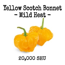 Yellow Scotch Bonnet - Mild Heat - 20 seeds - £2.34 GBP