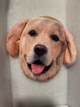 Labrador Retriever 5" X 6" Zipper Pouch *Unused* ww1 - $12.99