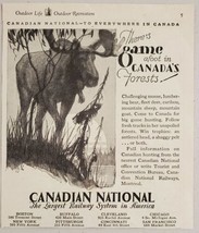 1930 Print Ad Canadian National Railway Canada&#39;s Forest Bull Moose in the Wild - £8.41 GBP