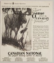 1930 Print Ad Canadian National Railway Canada&#39;s Forest Bull Moose in the Wild - £8.59 GBP