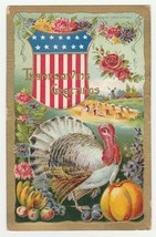 Vintage Postcard Thanksgiving Turkey Pumpkins Flowers U.S. Flab 1909 Gold Trim - £7.00 GBP