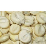 35 Peruvian Giant Corn Seeds-1051 - $2.98