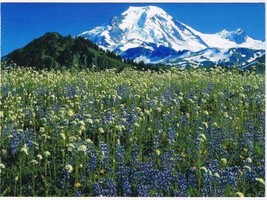 Washington Postcard Mount Baker Wilderness Area  - £3.15 GBP