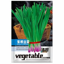 PWO Fresh Zhiqu Purple-Rooted Chinese Chives Seeds - $3.52