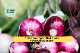 Southport Red Globe Onion Seeds – 250mg for Planting, Heirloom Variety, ... - $9.84 CAD