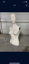 Female Mannequin Torso Only - $34.65