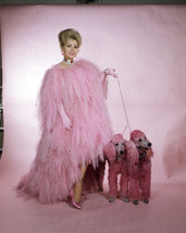 Zsa Zsa Gabor In Vulture Pink Feathers With Poodle Dogs Las Vegas 16x20 Canvas - £54.98 GBP