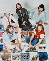 The Beach Boys Concert Color 16x20 Canvas Giclee - £55.81 GBP