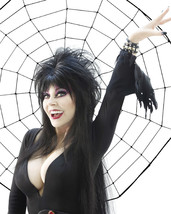 Cassandra Peterson Classic Image By Spiders Web Busty Sexy Outfit 16x20 Canvas - £56.12 GBP