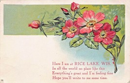 Rice Lake Wisconsin~Here I Am Hope You Will WRITE~1910 Embossed Floral Postcard - £7.90 GBP