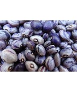 Blue Buffalo Bean - unique bean makes a tasty dish - $109.81 MXN
