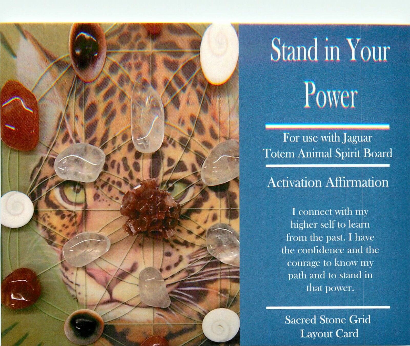 Stand in Your Power Grid Card 4x6&quot; Heavy Cardstock Jaguar Spirit Animal ... - $1.67
