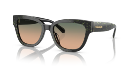 COACH Womens Sunglasses HC8379U 578413 Emerald Pearl Signature W/ Green ... - $1,298.12 MXN
