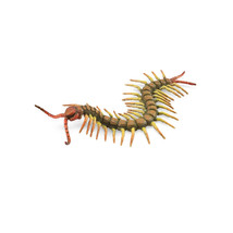 CollectA Centipede Figure (Large) - $24.26