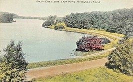 Middlesex Fells Massachusetts~View East Side Spot Pond~L Lester 1910 Postcard - £5.62 GBP