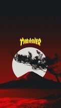 Thrasher Magazine Skateboards 12x8in Inches Aluminum Metal Sign Collage 23 - $24.74
