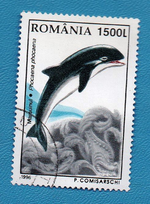 Used Romania Postage Stamp 5200 HLT 1500 L   multicoloured    - $0.01