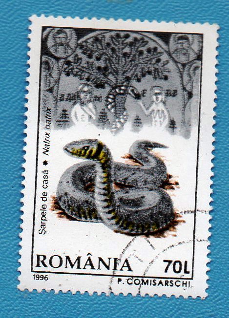 Primary image for Used Romania Postage Stamp 5196 HLP 70 L   multicoloured   