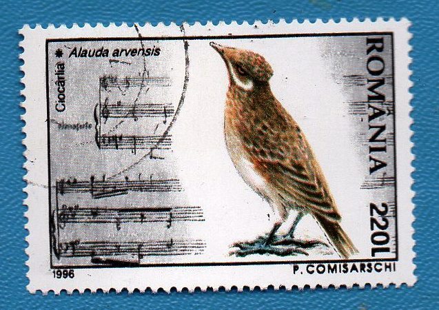 Used Romania Postage Stamp 5198 HLR 220 L   multicoloured    - $0.01