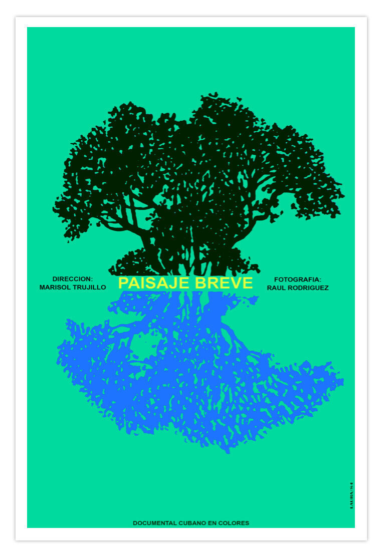 Movie Poster decor for"Paisaje BREVE.Fast Landscape"Art.Decorative room designs