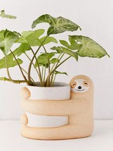 Cute, Creative And Green Plant Potted Plants - £46.65 GBP