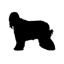 Afghan Hound Vinyl Decal - 26.8&quot; x 22.3&quot; - £26.37 GBP