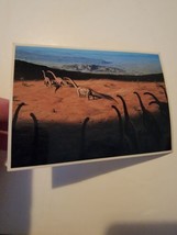 Vintage Dinosaur Post Card John Gurche Diplodocus Migration 1986 Vtg 1980s - £10.11 GBP