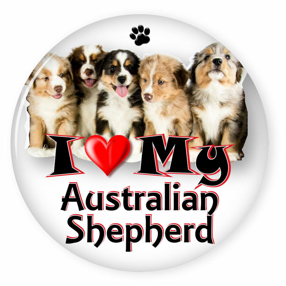 I LOVE MY AUSTRALIAN SHEPHERD DOG PUPPY 3&quot; PIN BACK BUTTON - $6.29