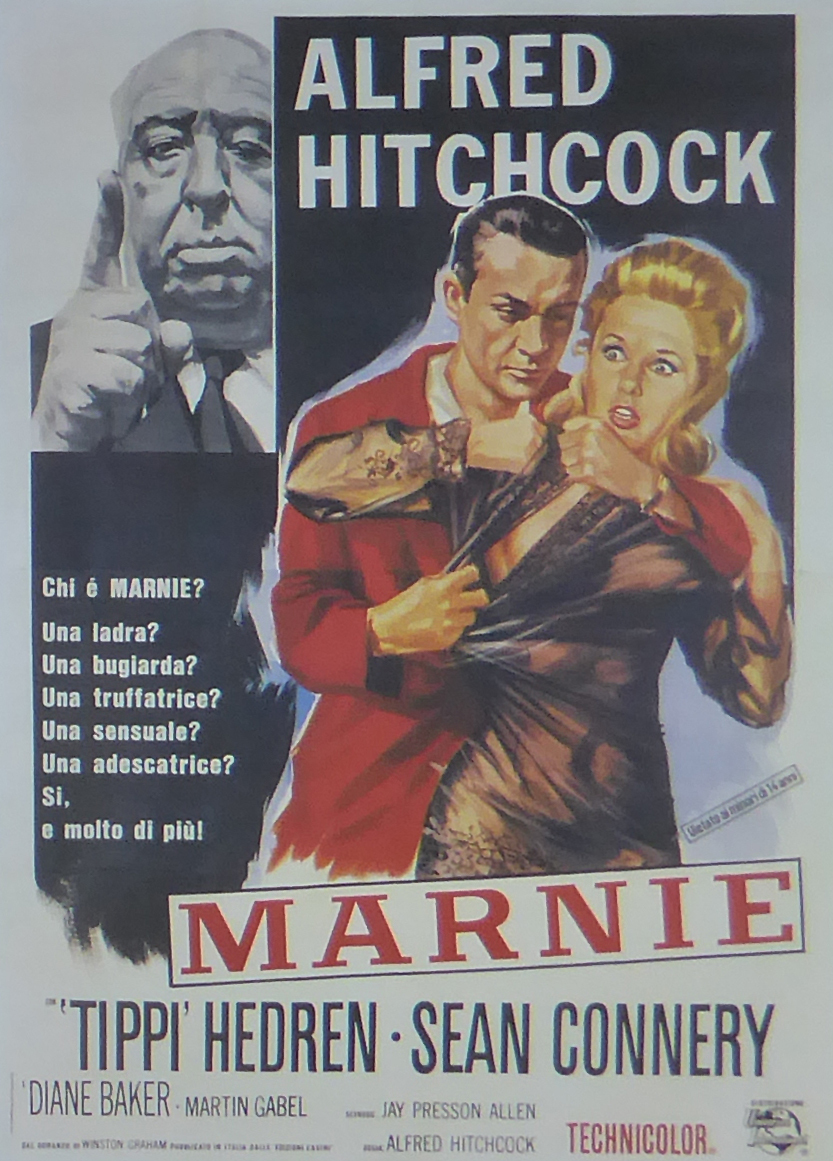 Marnie - Tippi Hedren  - Movie Poster - Framed Picture 11 x 14 - £26.38 GBP