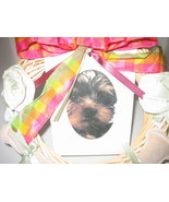 PET PHOTO DOG WREATH ANIMAL - $14.00
