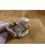 (tb-ins-3-6) tan Praying Mantis Tagua NUT figurine Bali detailed insect ... - $52.71 CAD