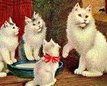 Sophie Sperlich  Artist Signed White Cats Milk Saucer Spider 1907 Postcard - $14.80